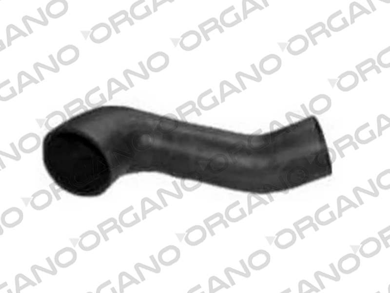 CARGO 2520 HAVA FILTRE HORTUMU UCPA