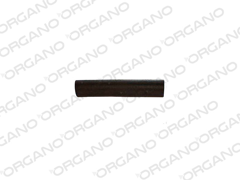 CARGO 2520 YEDEK SU DEPO HORTUMU GIRIS UCPA