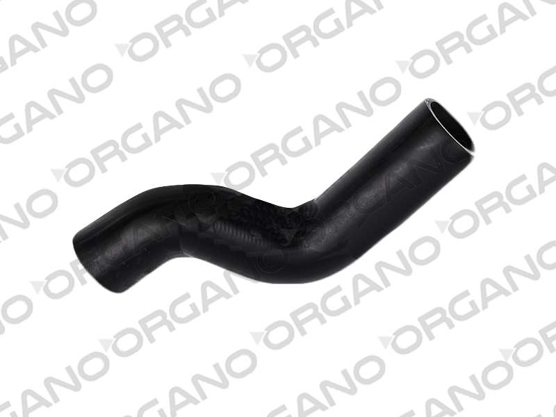 CARGO 2520 RADYATOR ALT HORTUM UCPA