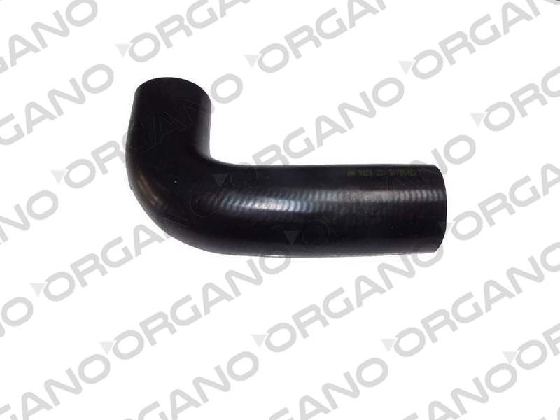 CARGO 3227 RADYATOR ALT HORTUM UCPA