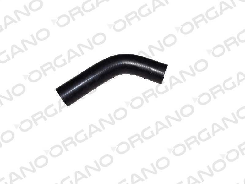 CARGO 2524 3230 YEDEK SU DEPOSU HORTUMU GIRIS UCPA